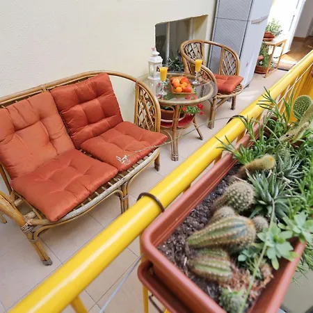 Spacious Zarita